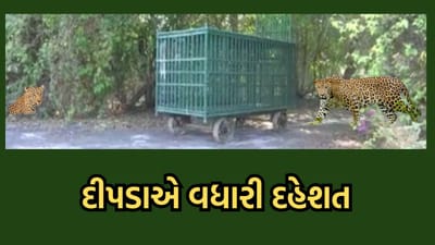 રાજકોટ વીડિયો : જસદણ અને ધોરાજીમાં દીપડો દેખાતા સ્થાનિકોમાં ભયનો માહોલ રાજકોટ વીડિયો : જસદણ અને ધોરાજીમાં દીપડો દેખાતા સ્થાનિકોમાં ભયનો માહોલ