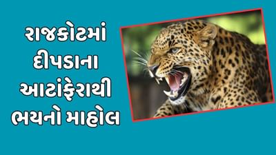 રાજકોટ વીડિયો : 10 દિવસથી શહેર અને ગ્રામ્ય વિસ્તારમાં દીપડાના આટાંફેરા, લોકોમાં ભયનો માહોલ