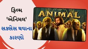 ફિલ્મ 'એનિમલ' સક્સેસ થવાના 5 કારણો ફિલ્મ 'એનિમલ' સક્સેસ થવાના 5 કારણો