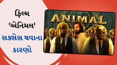 આ 5 કારણોને લીધે ફિલ્મ 'એનિમલ' બોક્સ ઓફિસ પર કરી રહી છે જોરદાર કમાણી