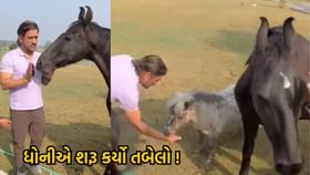 ધોનીએ આંતરરાષ્ટ્રીય ક્રિકેટમાંથી નિવૃત્તિ બાદ શરૂ કર્યો તબેલો ? ધોનીએ આંતરરાષ્ટ્રીય ક્રિકેટમાંથી નિવૃત્તિ બાદ શરૂ કર્યો તબેલો ?