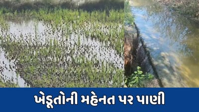 પંચમહાલ: કેનાલ ઓવરફ્લો થતાં ખેતરોમાં પાણી ફરી વળ્યા, ખેડૂતોની હાલત કફોડી