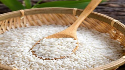 ચોખાના ભાવમાં જોરદાર ઉછાળો આવ્યો, 15 વર્ષની સર્વોચ્ચ સપાટીએ કિંમત પહોંચી