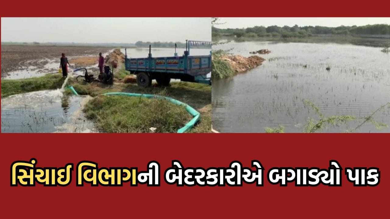 અમદાવાદ સિંચાઈ વિભાગની ઘોર બેદરકારીએ 10 ગામના ખેડૂતોને કરાવ્યુ લાખોનુ
