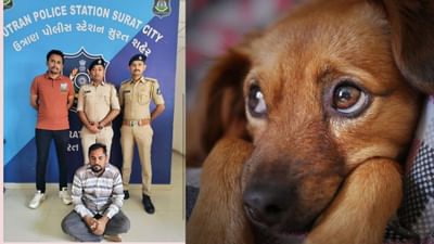 સુરતમાં વિકૃતિની પરાકાષ્ઠા : ઇવેન્ટ પ્લાનરે શ્વાન પર બળાત્કાર ગુજાર્યો! પોલીસે 80 સીસીટીવી કેમેરાની તપાસના અંતે પકડી પાડ્યો