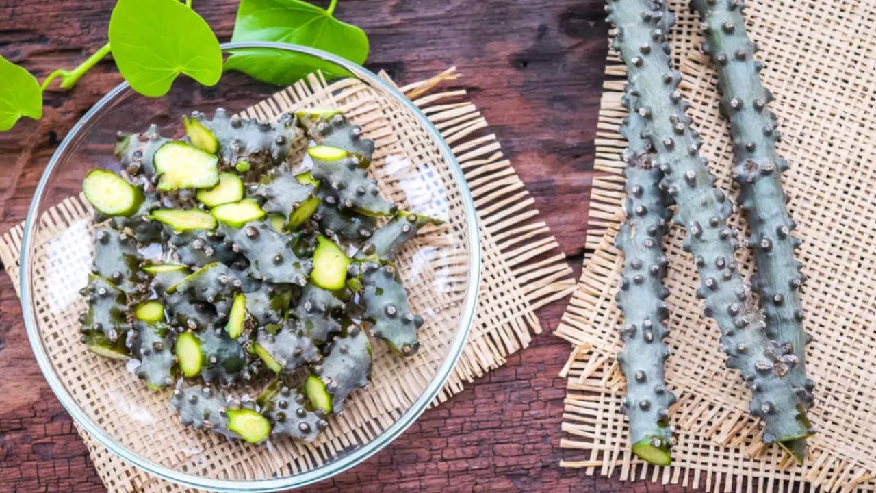 ગિલોયને મૂળભૂત રીતે એન્ટિપ્રાયરેટિક જડીબુટ્ટી કહેવામાં આવે છે. તે શરીરમાં અધિક યુરિક એસિડને નિષ્ક્રિય કરવા માટે જાણીતું છે. યુરિક એસિડના સ્તરને ઘટાડવા માટે, તમે નિષ્ણાતોની સલાહ પર ગિલોયનો રસ લઈ શકો છો અથવા તેના પાવડરનું સેવન કરી શકો છો. 