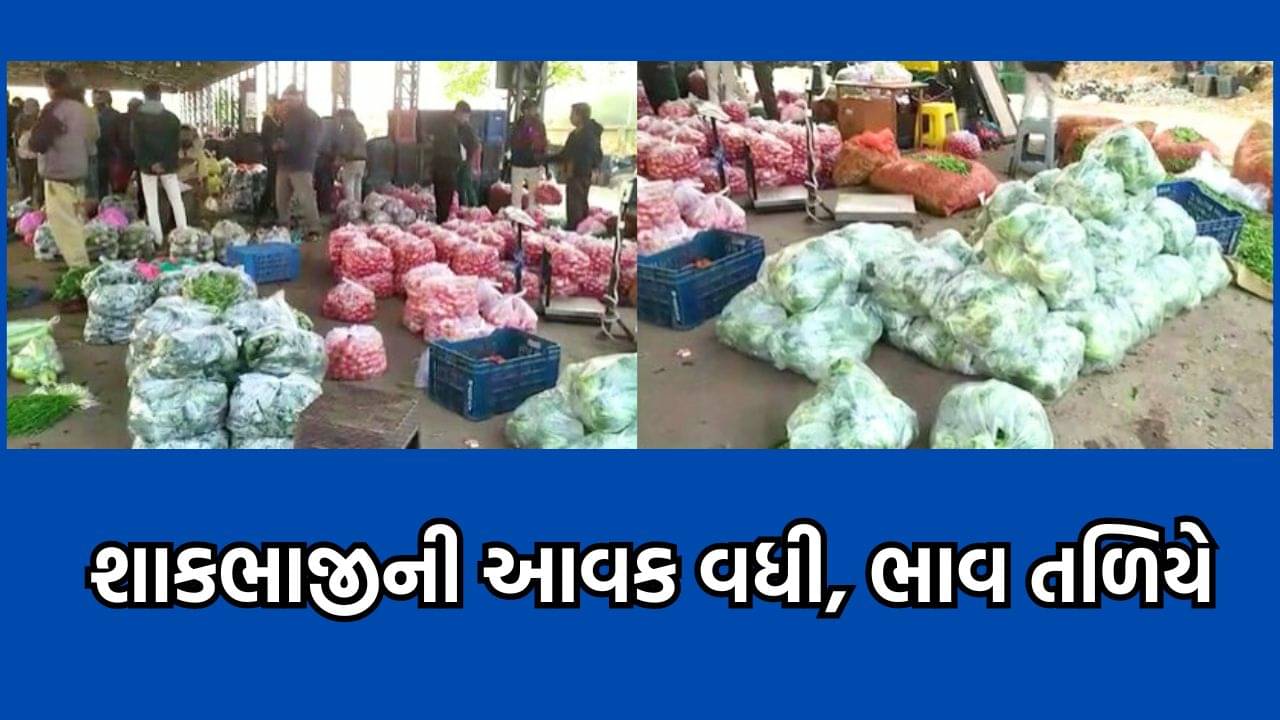 રાજકોટ: ધોરાજી માર્કેટ યાર્ડમાં શાકભાજીની મબલખ આવક, ભાવ ગયા તળિયે, ખેડૂતોની બેઠી માઠી દશા