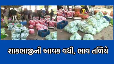 રાજકોટ: ધોરાજી માર્કેટ યાર્ડમાં શાકભાજીની મબલખ આવક, ભાવ ગયા તળિયે, ખેડૂતોની બેઠી માઠી દશા