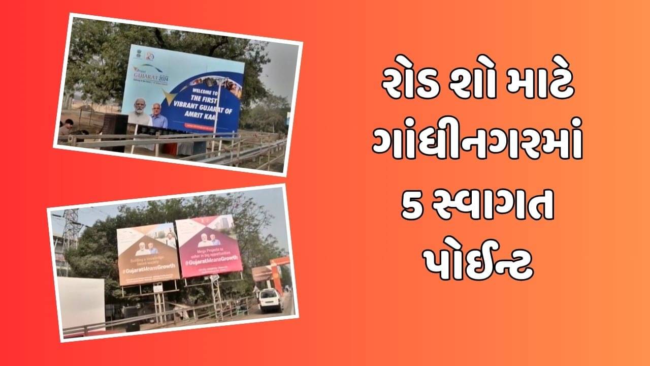 UAEના રાષ્ટ્રપતિ અને વડાપ્રધાન નરેન્દ્ર મોદીનું રોડ શો દરમિયાન થશે ભવ્ય સ્વાગત, ગાંધીનગરમાં 5 સ્વાગત પોઈન્ટ તૈયાર કરાયા, જુઓ વિડીયો