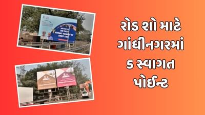 UAEના રાષ્ટ્રપતિ અને વડાપ્રધાન નરેન્દ્ર મોદીનું રોડ શો દરમિયાન થશે ભવ્ય સ્વાગત, ગાંધીનગરમાં 5 સ્વાગત પોઈન્ટ તૈયાર કરાયા, જુઓ વિડીયો