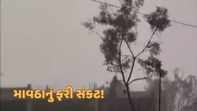 અંબાલાલ પટેલની આગાહી, આગામી સપ્તાહે રાજ્યમાં કમોસમી વરસાદની શક્યતા, ક્યાં થશે માવઠા? જાણો