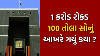 1 કરોડ રોકડ અને 100 તોલા સોનું ગયું કયા ? આણંદ પોલીસે સગેવગે કર્યાના આક્ષેપ પર હાઇકોર્ટની ફટકાર
