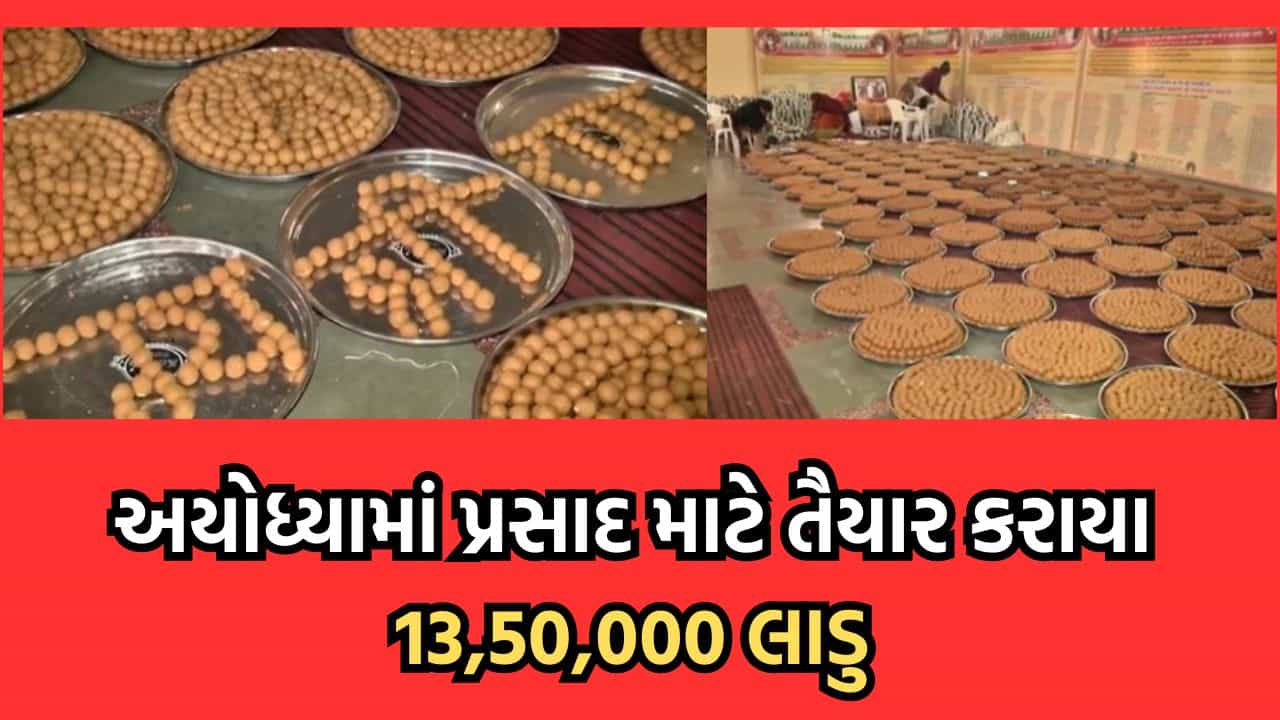 અયોધ્યામાં 13 લાખ 50 હજાર લાડુ કરાયા તૈયાર, ભોગ ધરાવ્યા બાદ ભાવિકોને પ્રસાદ રૂપે અપાશે લાડુ- વીડિયો