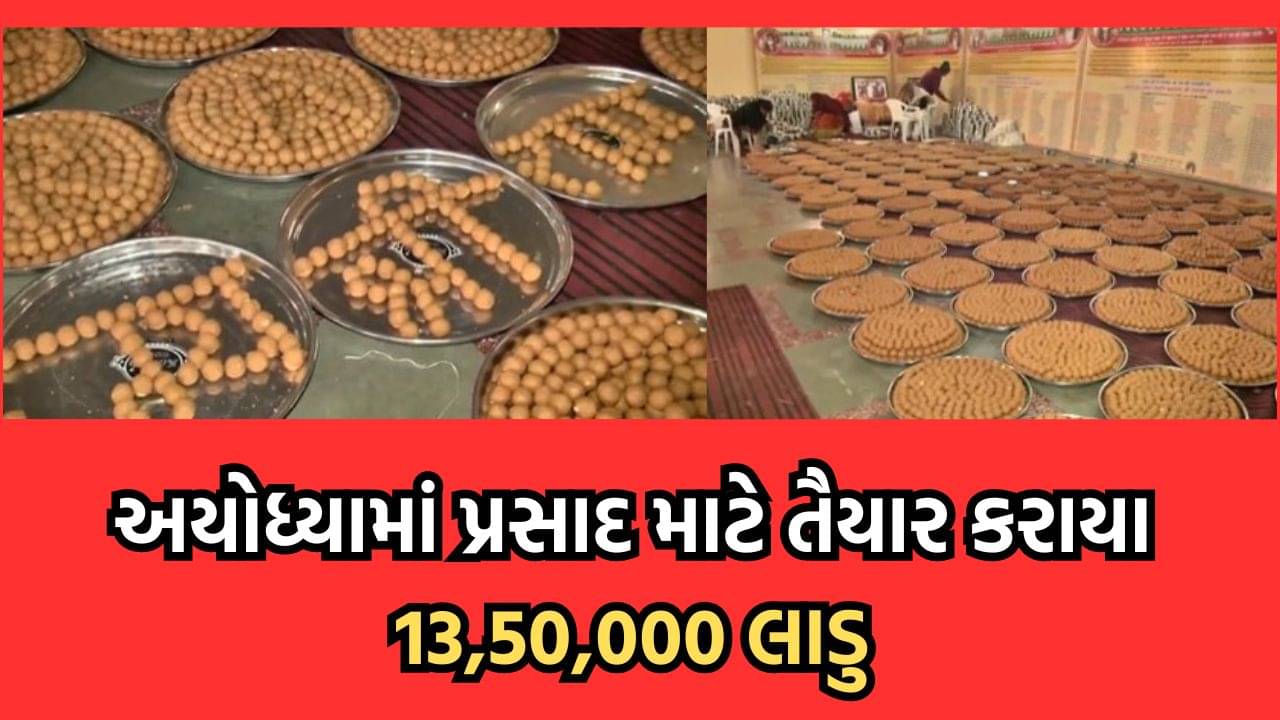 અયોધ્યામાં 13 લાખ 50 હજાર લાડુ કરાયા તૈયાર, ભોગ ધરાવ્યા બાદ ભાવિકોને પ્રસાદ રૂપે અપાશે લાડુ- વીડિયો