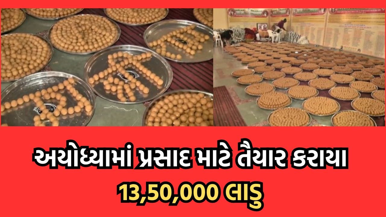 અયોધ્યામાં 13 લાખ 50 હજાર લાડુ કરાયા તૈયાર, ભોગ ધરાવ્યા બાદ ભાવિકોને પ્રસાદ રૂપે અપાશે લાડુ- વીડિયો અયોધ્યામાં 13 લાખ 50 હજાર લાડુ કરાયા તૈયાર, ભોગ ધરાવ્યા બાદ ભાવિકોને પ્રસાદ રૂપે અપાશે લાડુ- વીડિયો