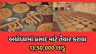 અયોધ્યામાં 13 લાખ 50 હજાર લાડુ કરાયા તૈયાર, ભોગ ધરાવ્યા બાદ ભાવિકોને પ્રસાદ રૂપે અપાશે લાડુ- વીડિયો