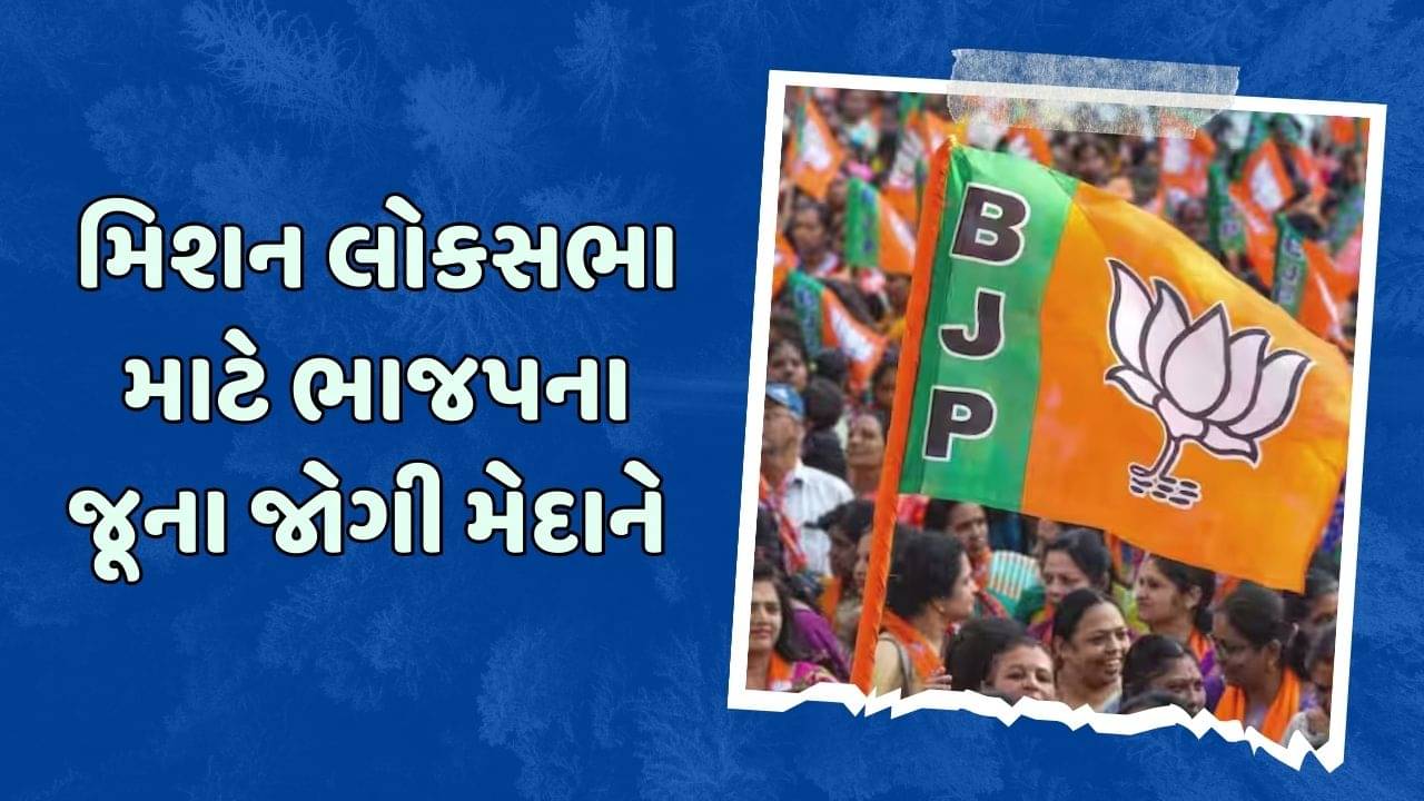 લોકસભા માટે ભાજપનો એક્શન પ્લાન તૈયાર, જૂના જોગીઓને સોંપાઈ કમાન