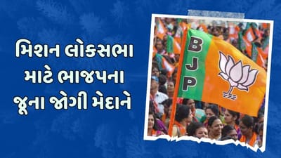 લોકસભા માટે ભાજપનો એક્શન પ્લાન તૈયાર, જૂના જોગીઓને સોંપાઈ કમાન લોકસભા માટે ભાજપનો એક્શન પ્લાન તૈયાર, જૂના જોગીઓને સોંપાઈ કમાન