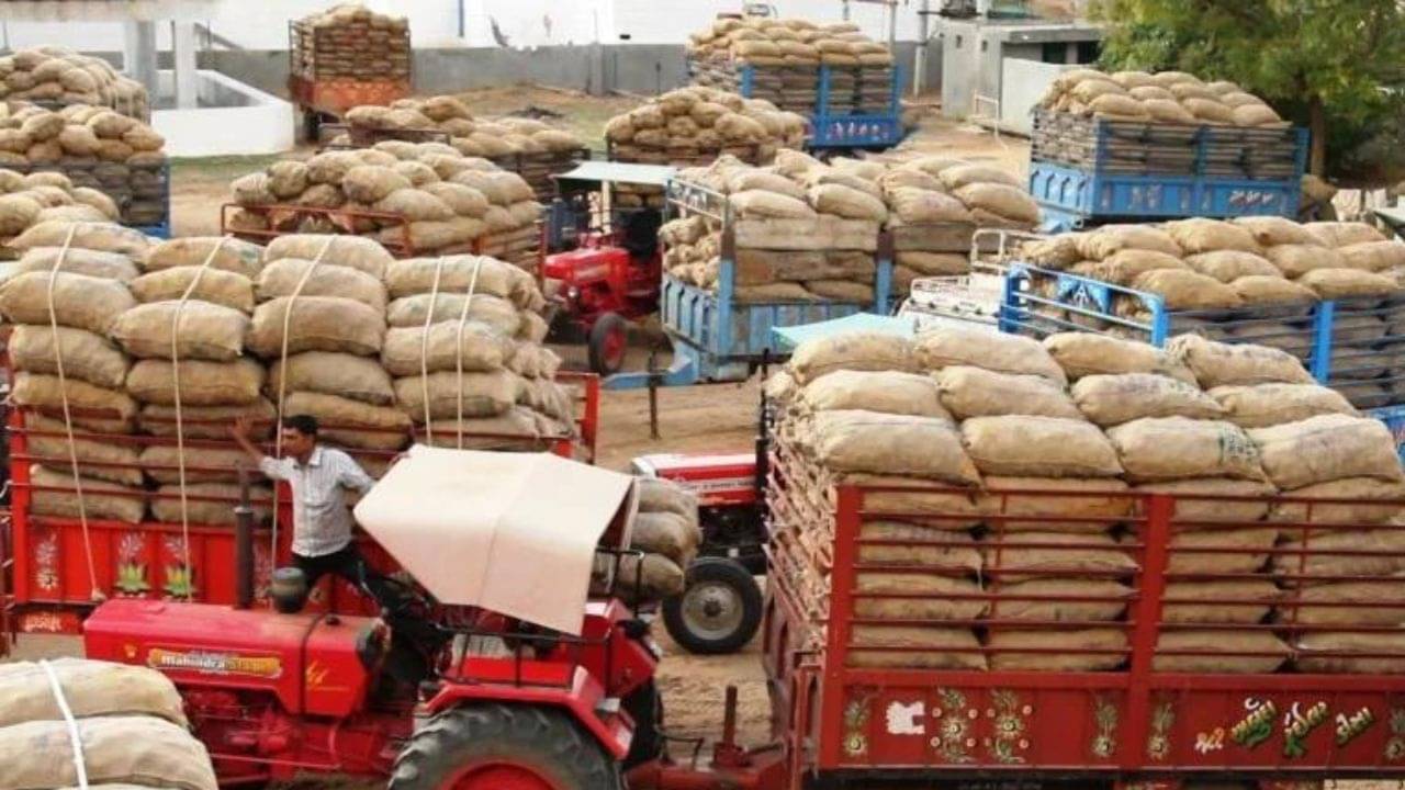 બનાસકાંઠા : કોલ્ડ સ્ટોરેજના ભાડામાં વધારો થતાં ખેડૂતોમાં નારાજગી, આંદોલન કરવાનો મૂડ