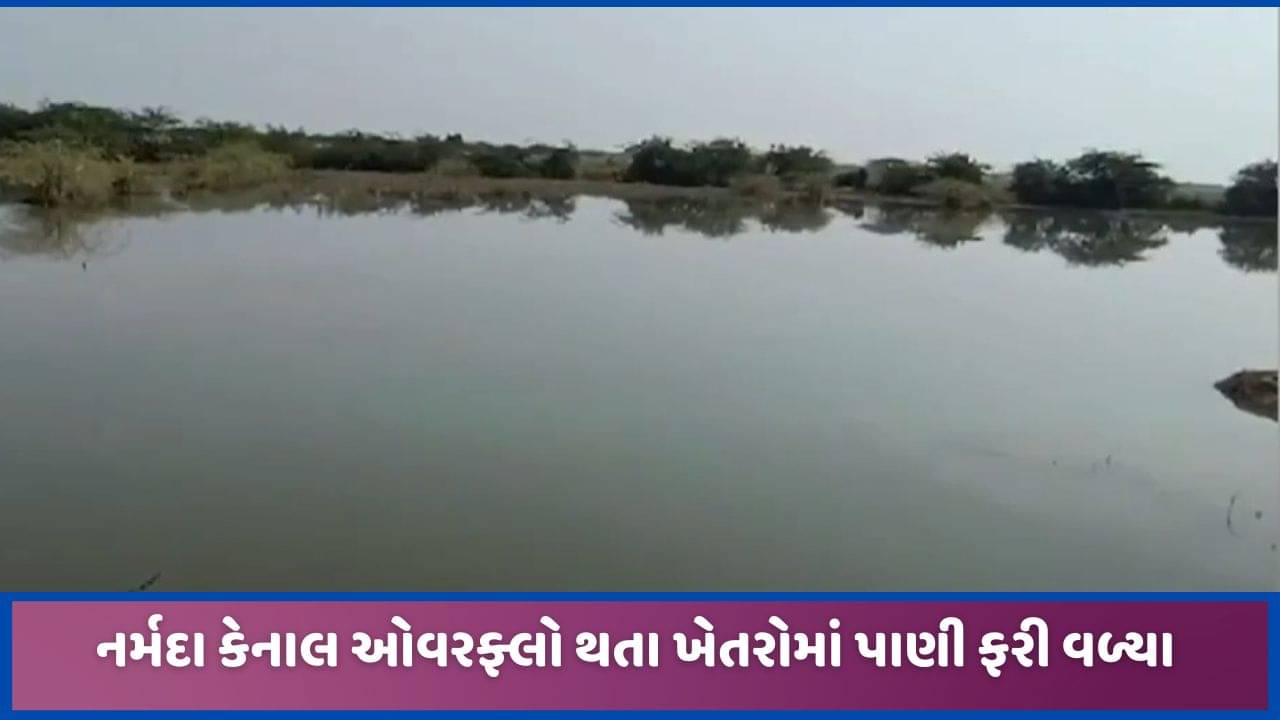રાધનપુર અને સમીમાં કેનાલ ઓવરફ્લો થતા ખેતરોમાં નર્મદાના પાણી ભરાયા, તળાવ જેવા સર્જાયા દ્રશ્યો, જુઓ