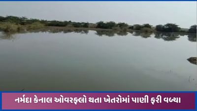 રાધનપુર અને સમીમાં કેનાલ ઓવરફ્લો થતા ખેતરોમાં નર્મદાના પાણી ભરાયા, તળાવ જેવા સર્જાયા દ્રશ્યો, જુઓ રાધનપુર અને સમીમાં કેનાલ ઓવરફ્લો થતા ખેતરોમાં નર્મદાના પાણી ભરાયા, તળાવ જેવા સર્જાયા દ્રશ્યો, જુઓ