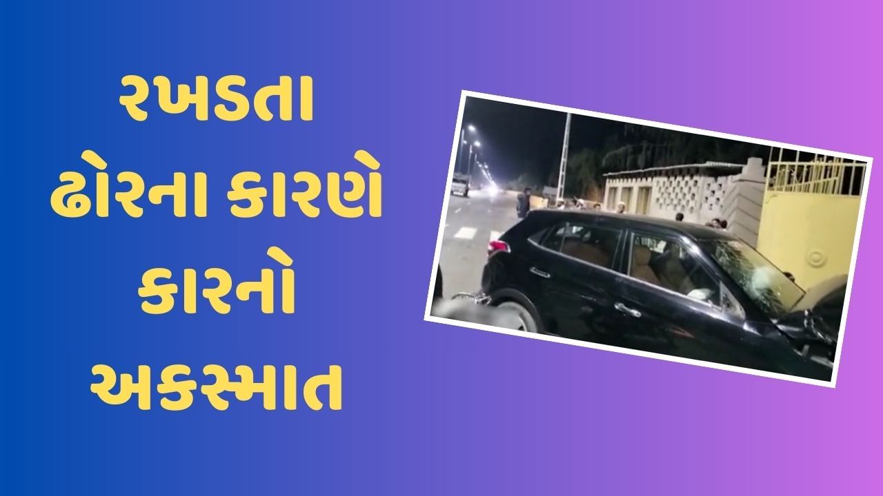 જૂનાગઢ : રખડતા ઢોરના કારણે કારનો ગંભીર અકસ્માત, રોડ સાઇડમાં ઉભેલા લોકો માંડ બચ્યા, જુઓ વીડિયો