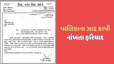ડીસામાં 9 આસોપાલવ વૃક્ષો અજાણ્યા શખ્સ કાપી ગયા, મામલો પોલીસ મથકે પહોંચ્યો
