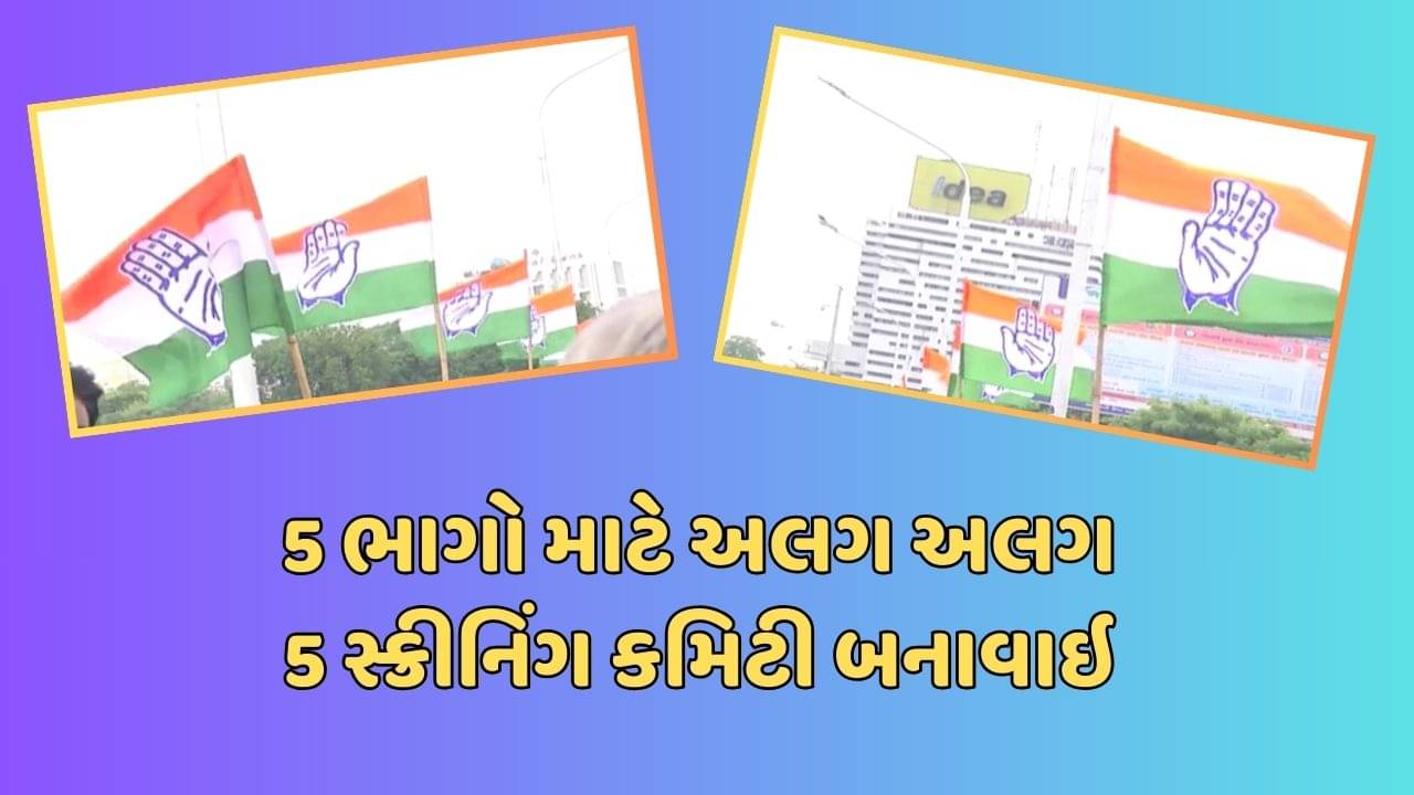 વીડિયો: લોકસભાની ચૂંટણીને લઈને કોંગ્રેસની કવાયત, ઉમેદવારોની પસંદગી માટે કોંગ્રેસે 5 સ્ક્રીનિંગ કમિટી બનાવી