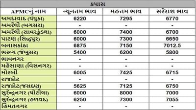 કપાસના તા.03-01-2024ના રોજ APMCના ભાવ રૂ.5400 થી 8000 રહ્યા.