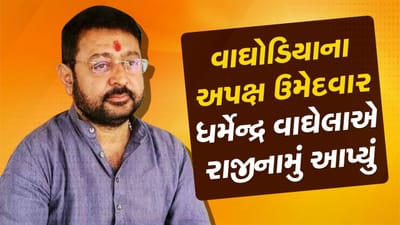 બ્રેકિંગ ન્યૂઝ : વડોદરાના વાઘોડિયાના અપક્ષ ધારાસભ્ય ધર્મેન્દ્રસિંહ વાઘેલાએ આપ્યુ રાજીનામું,કહ્યુ- 'ભાજપમાં જ જોડાયેલો હતો અને છું'