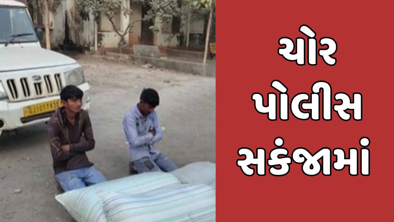 દેવભૂમિ દ્વારકા વીડિયો : ખંભાળીયા માર્કેટ યાર્ડમાં જીરાની ચોરીનો ભેદ ઉકેલાયો, આરોપીની અટકાયત