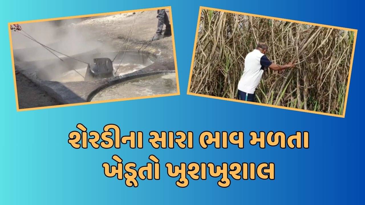 ગીર સોમનાથ વીડિયો: શેરડીના પૂરતા ભાવ મળતા ખેડૂતો ખુશખુશાલ! ચાલુ વર્ષે ખેડૂતોને મળ્યા ટન દીઠ 3500 રૂપિયા