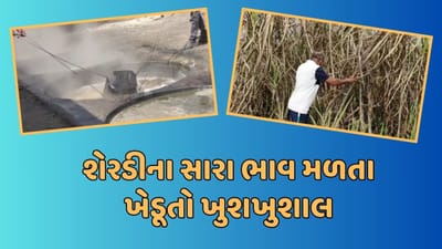 ગીર સોમનાથ વીડિયો: શેરડીના પૂરતા ભાવ મળતા ખેડૂતો ખુશખુશાલ! ચાલુ વર્ષે ખેડૂતોને મળ્યા ટન દીઠ 3500 રૂપિયા