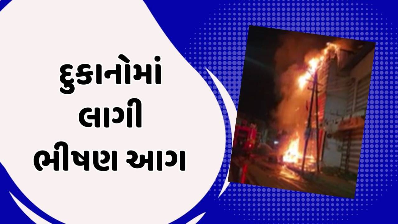 કચ્છ : ભુજમાં અનમ રિંગ રોડ પર આવેલ શોપિંગ સેન્ટરમાં લાગી આગ, જુઓ વીડિયો