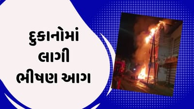કચ્છ : ભુજમાં અનમ રિંગ રોડ પર આવેલ શોપિંગ સેન્ટરમાં લાગી આગ, જુઓ વીડિયો કચ્છ : ભુજમાં અનમ રિંગ રોડ પર આવેલ શોપિંગ સેન્ટરમાં લાગી આગ, જુઓ વીડિયો