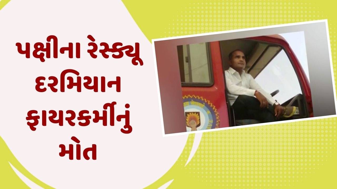 અમદાવાદ : બોપલમાં પક્ષીનો જીવ બચાવવા જતા ફાયરકર્મીનું મોત, જુઓ વીડિયો