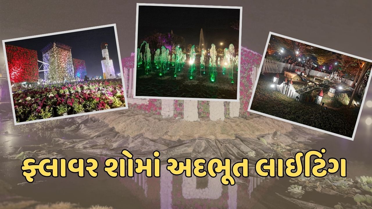 ફ્લાવર શોમાં દિવસ કરતા રાત્રીનો અદભૂત નજારો, લાઇટિંગ જોવા ઉમટી રહ્યા છે ...