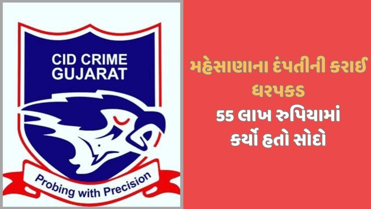 CID ક્રાઈમે મહેસાણાના બે એજન્ટની ધરપકડ કરી, ગેરકાયદે અમેરિકા મોકલવા 55 લાખનો સોદો કર્યો હતો