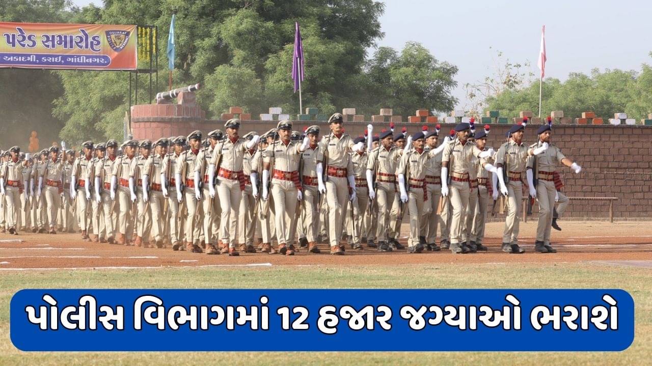ગુજરાત સરકાર પોલીસ વિભાગમાં 12 હજાર જગ્યાઓ ભરશે, હાઇકોર્ટમાં રજૂ કર્યું સોગંદનામું