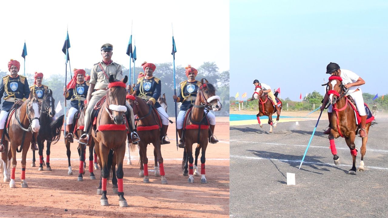 રાજ્યમાં 7 અલગ અલગ શહેરોમાં અશ્વ ખરીદી પ્રક્રિયા કરવામાં આવશે. જેની શરુઆત સુરેન્દ્રનગર પોલીસ હેડક્વાર્ટરથી થશે. ત્યારબાદ બોટાદના સાળંગપુર, ભાવનગારના માઉન્ટેડ પોલીસ યુનિટ ખાતે, અમેરેલી પોલીસ હેડક્વાર્ટર, ગોંડલ એસઆરપી જૂથ, પાલનપુર પોલીસ હેડક્વાર્ટર અને અંતિમ કેમ્પ મેઘાણીનગર ખાતે થશે.