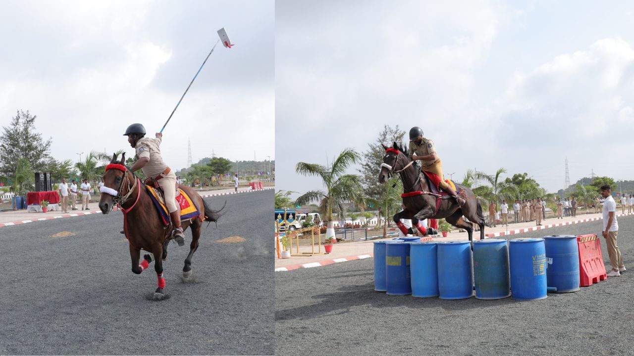 માઉન્ટેડ વિભાગ દ્વારા અશ્વની ખૂબ જ ચીવટતા પૂર્વક દેખભાળ રાખવામાં આવતી હોય છે. પ્રજાસત્તાક દીવસ સહિત કેટલાક વિશેષ પ્રસંગે અશ્વદળ કૌશલ્ય રજૂ કરતા હોય છે.