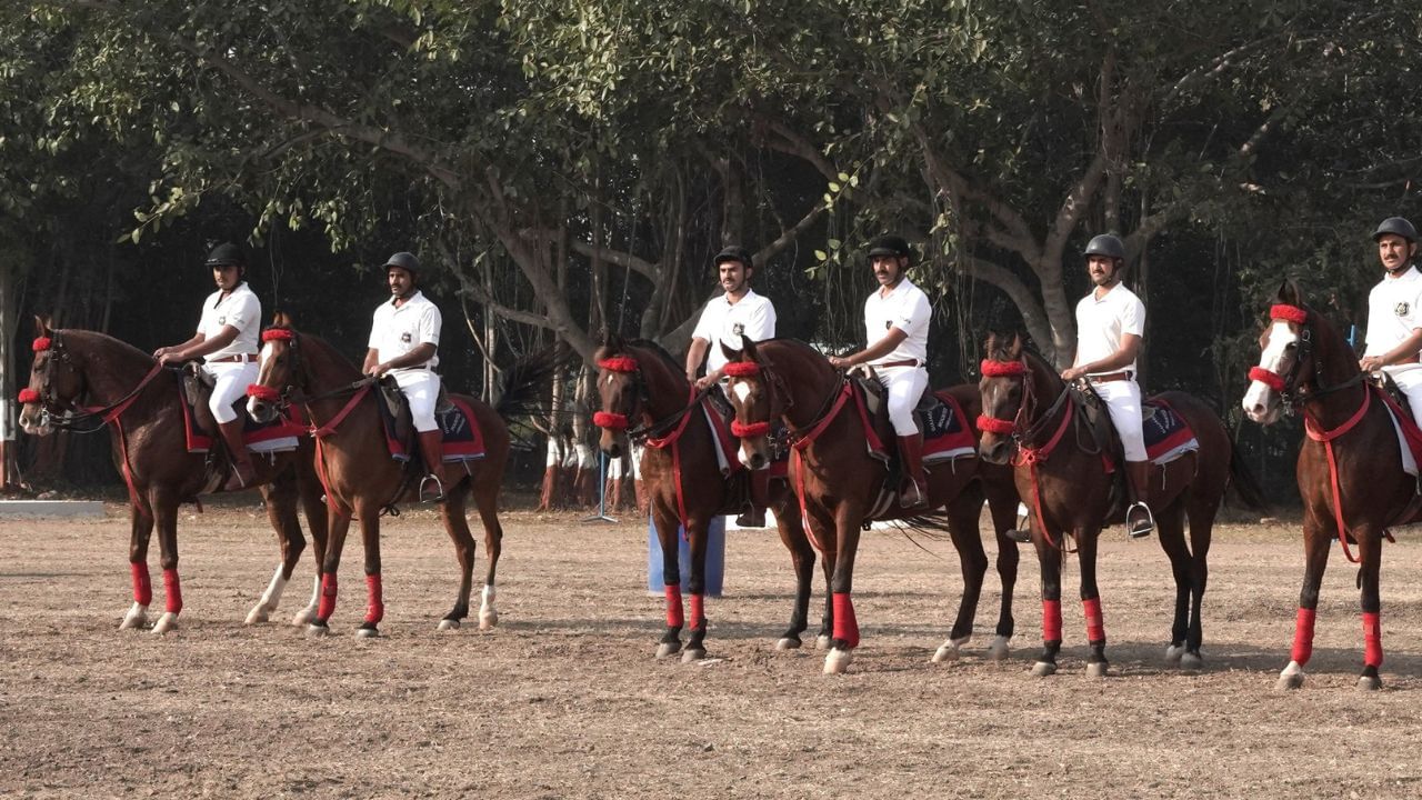 ગુજરાત પોલીસ દ્વારા આગામી 28 જાન્યુઆરીથી અશ્વની ખરીદી માટે શરુ કરવામાં આવશે. જે આગામી 10 ફેબ્રુઆરી સુધી ચાલશે.