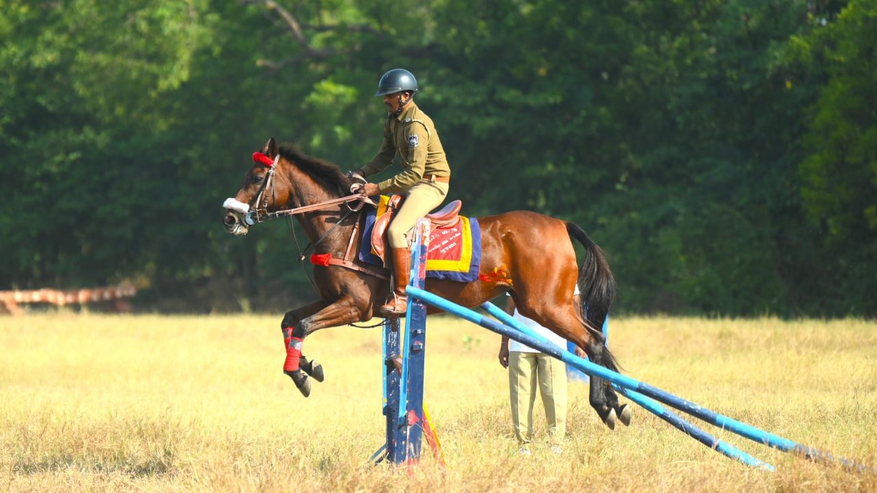 આમ સાત સ્થળો પર ખરીદી કેમ્પ યોજાશે. જેમાં અશ્વપાલકો પોતાના ઘોડા લઈને સ્વખર્ચે પહોંચીને તેને પોલીસ દળને વેચી શકે છે.