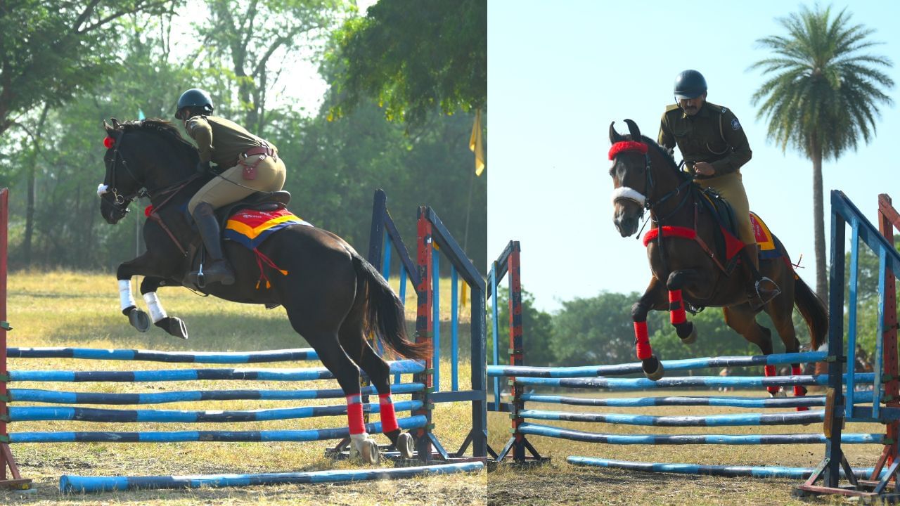 જ્યારે ઘોડાની લંબાઈ 7.6 થી 8 ફૂટ હોવાનું માપદંડ રાખવામાં આવેલ છે. તેમજ 4 થી 7 વર્ષની વયના જ ઘોડાની ખરીદી કરવામાં આવનાર છે.