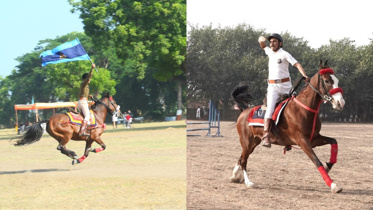 ગુજરાત પોલીસ દ્વારા થોરો, અરબી, કાઠીયાવાડી, મારવાડી બ્રીડના ઘોડાની ખરીદી કરવામાં આવશે. જેમાં 56 થી 63 ઈંચના ઘોડા પસંદ કરવામાં આવશે.