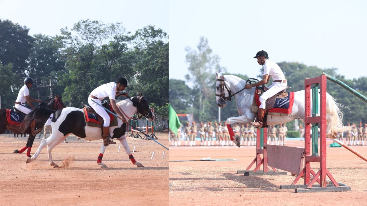 અશ્વદળના પોલીસ કર્મીઓ અને અધિકારીઓ ઘોડાઓને વિશેષ તાલીમ આપતા હોય છે. પોલીસના અશ્વના કૌશલ્યને નિહાળવું એક આકર્ષક પળ સમાન હોય છે.