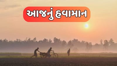 આજનું હવામાન : જાણો તમારા શહેરમાં ઠંડીનું પ્રમાણ કેવુ રહેશે, જુઓ વીડિયો આજનું હવામાન : જાણો તમારા શહેરમાં ઠંડીનું પ્રમાણ કેવુ રહેશે, જુઓ વીડિયો