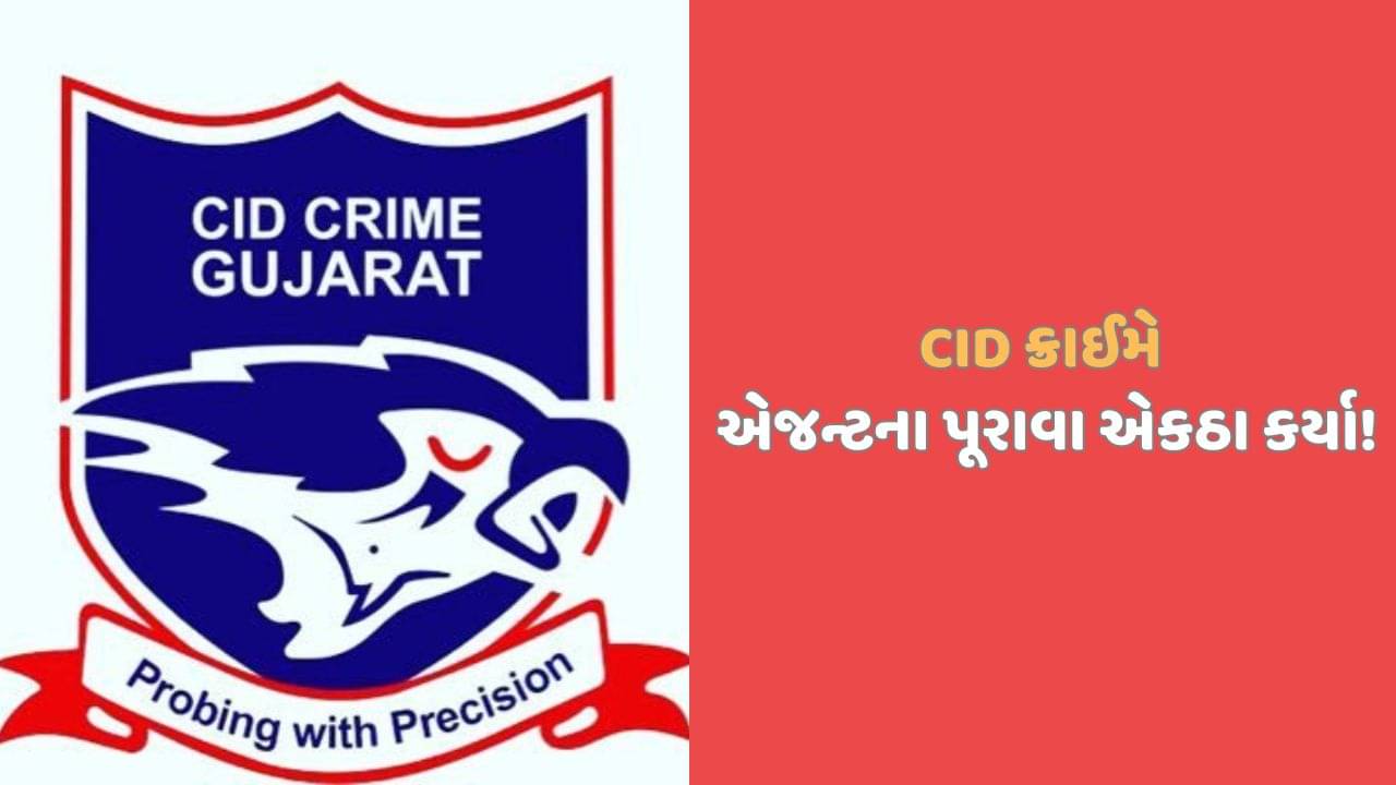 કબૂતરબાજી કેસઃ કોણ લઈ જતુ હતુ દુબઈથી નિકારગુઆ? સામે આવ્યુ ગુજરાતી એજન્ટનું નામ