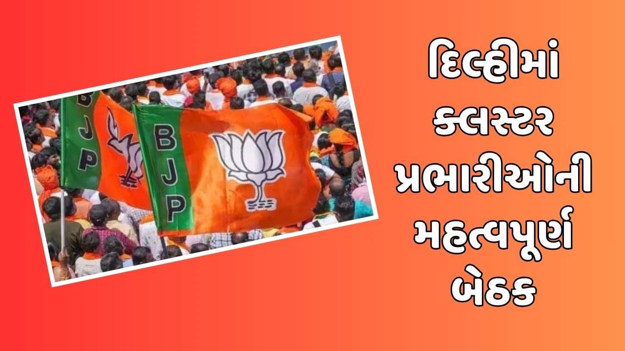 લોકસભા ચૂંટણી : દિલ્હીમાં ક્લસ્ટર પ્રભારીઓની મહત્વપૂર્ણ બેઠક, ગુજરાતમાં 26 લોકસભા બેઠકમાં 3-3 બેઠકના બનાવાયા છે ક્લસ્ટર