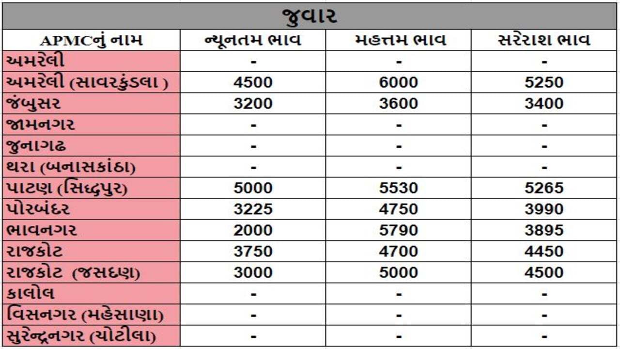 જુવારના તા.03-01-2024ના રોજ APMCના ભાવ રૂ.2000 થી 6000 રહ્યા.